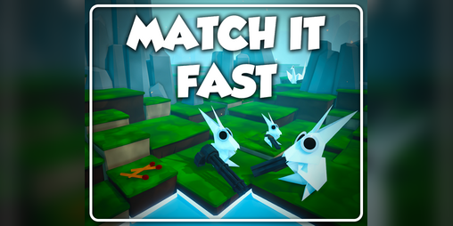Cover image for MATCH IT FAST