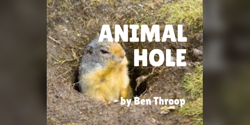 Cover image for Animal Hole