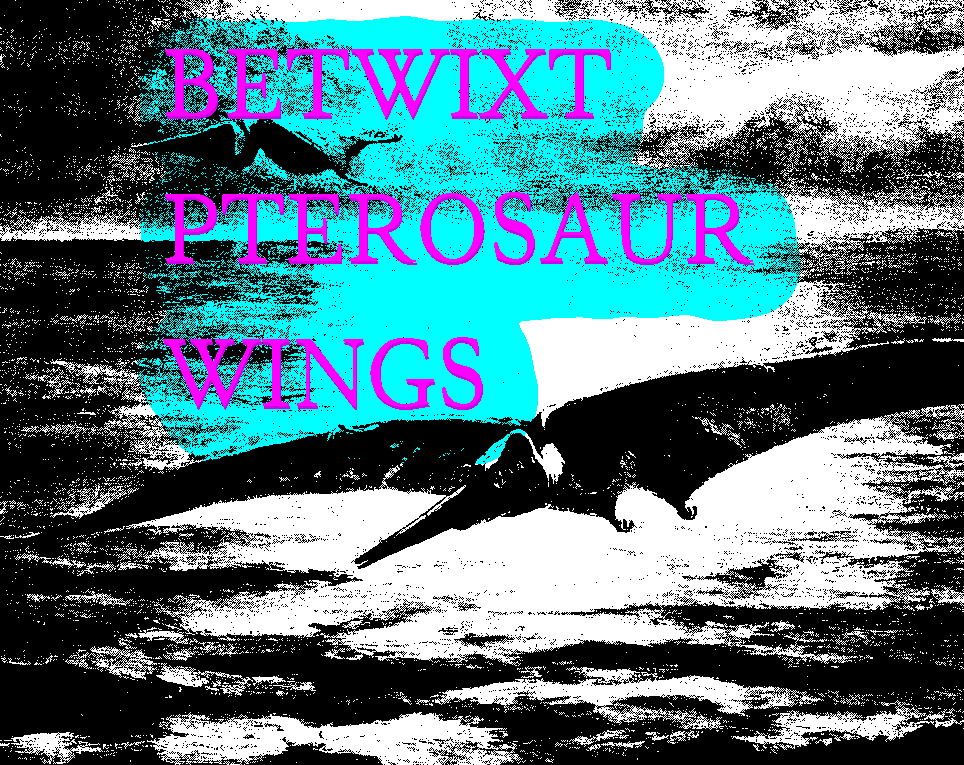 Cover image for Betwixt Pterosaur Wings