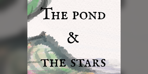 Cover image for The pond & the stars