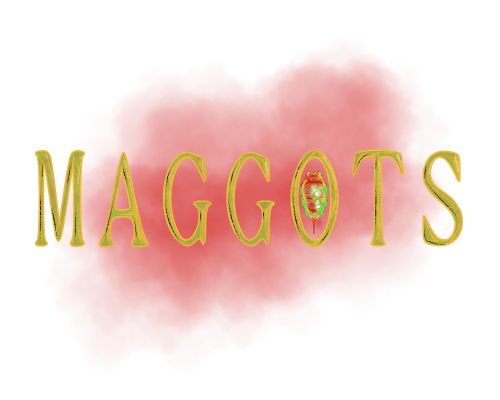 MAGGOTS