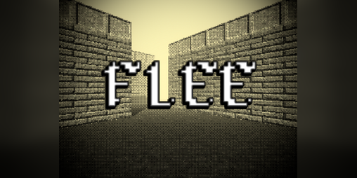 Cover image for FLEE