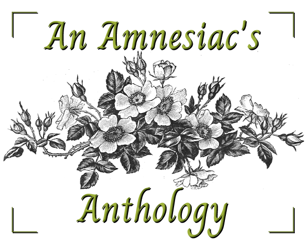 Cover image for An Amnesiac's Anthology