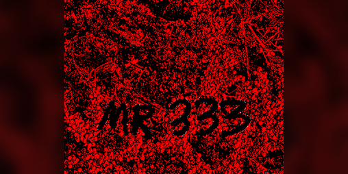 Cover image for Mr 333