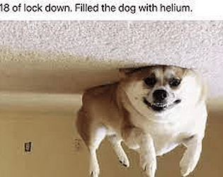 good luck
