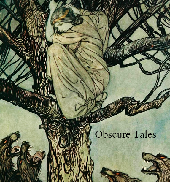 Cover image for Obscure Tales