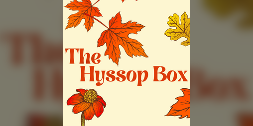 Cover image for The Hyssop Box