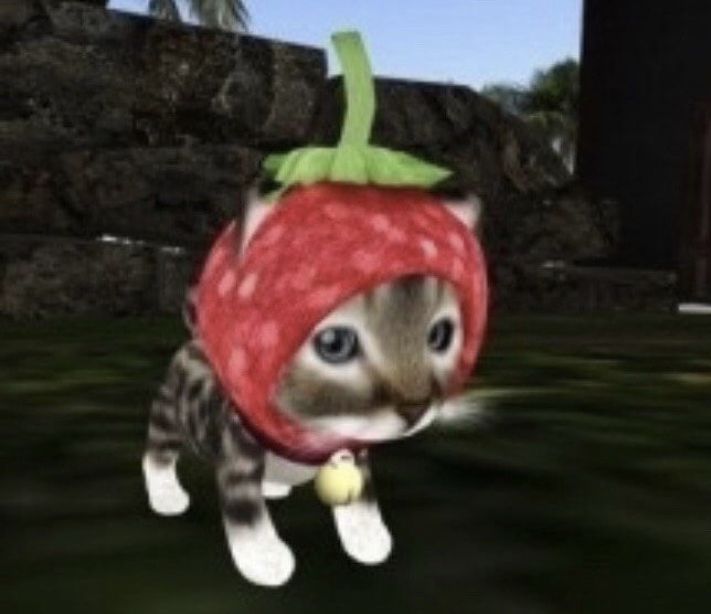 Michi Clicker