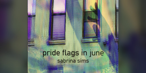 Cover image for pride flags in june (nyc 2022)