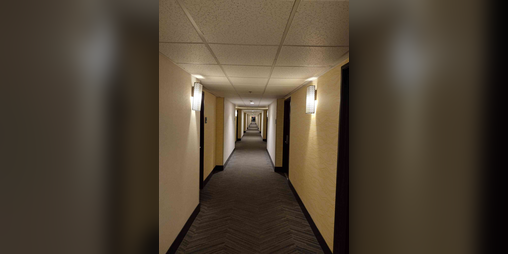 Cover image for The Hallway