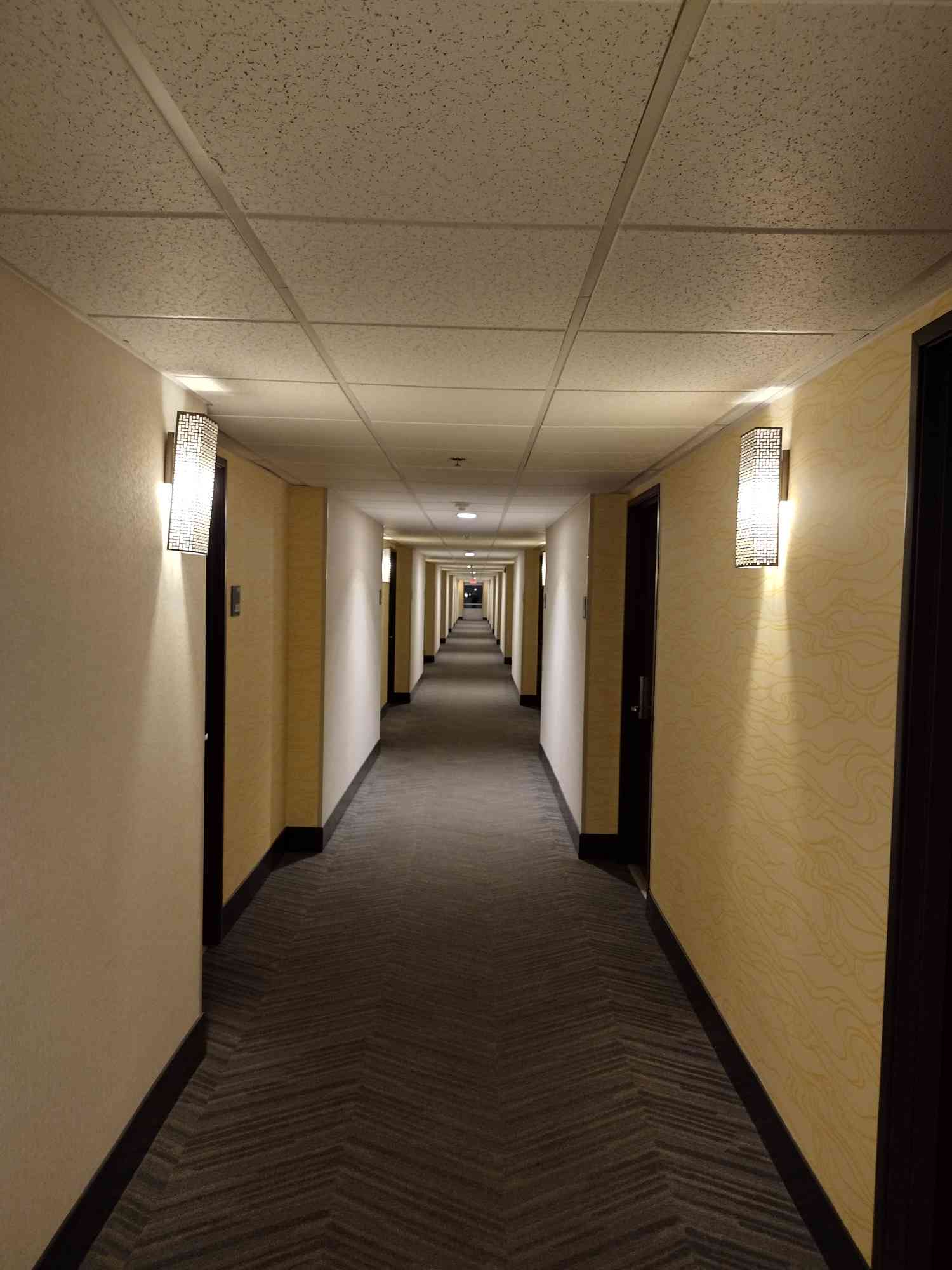 Cover image for The Hallway