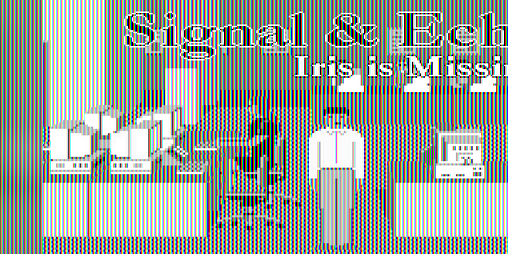 Cover image for Signal & Echo: Iris is Missing (demo)