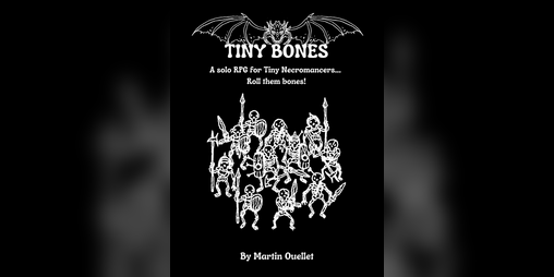 Cover image for Tiny Bones