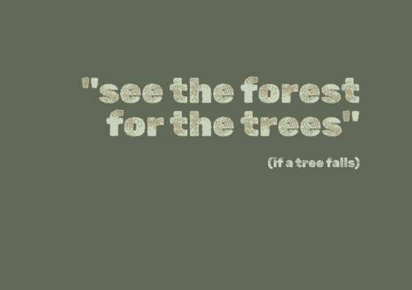 see the forest for the trees