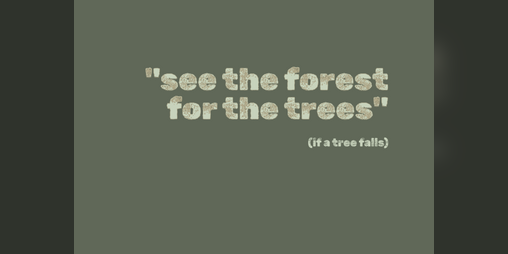 Cover image for see the forest for the trees