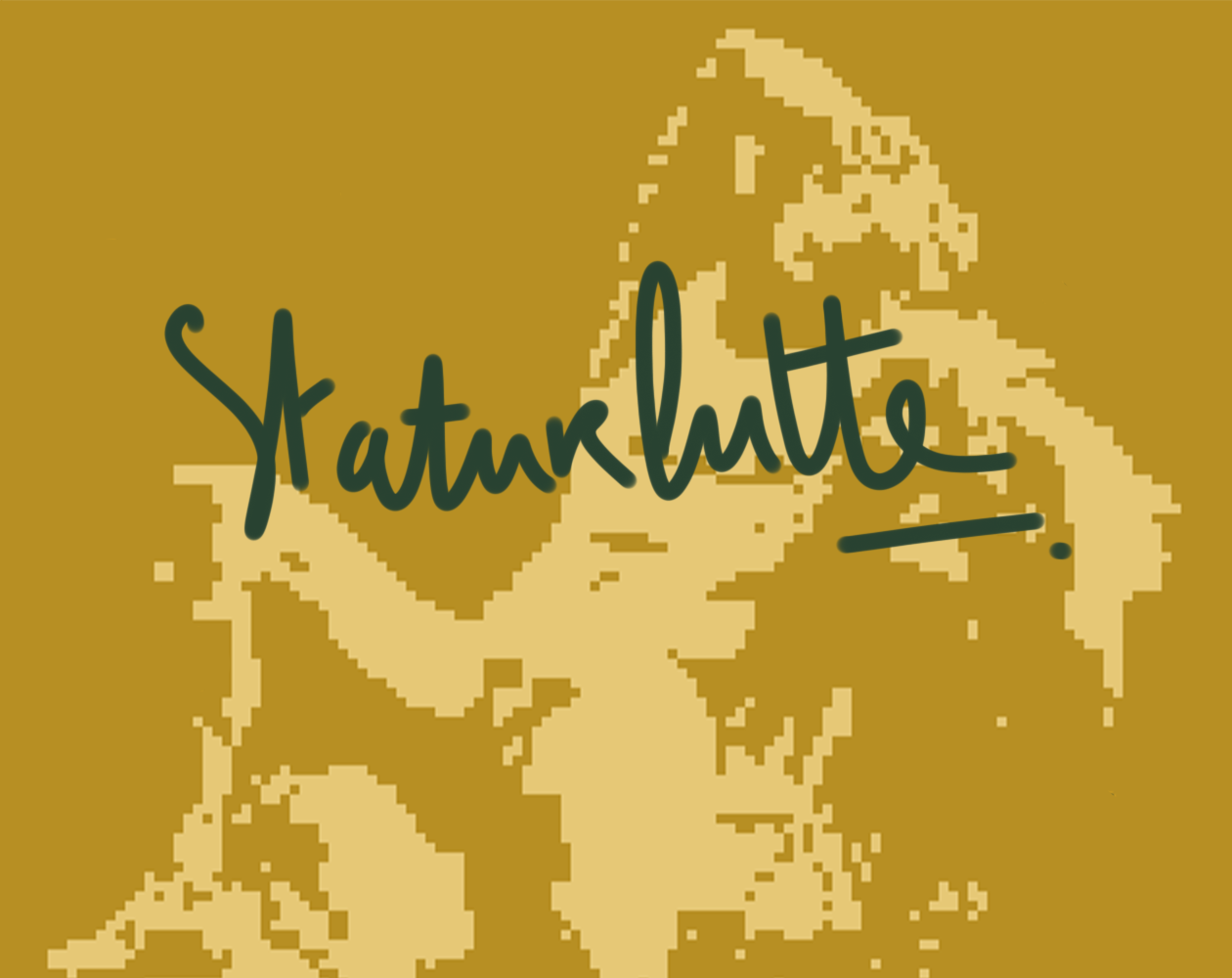 Cover image for Staturlutte