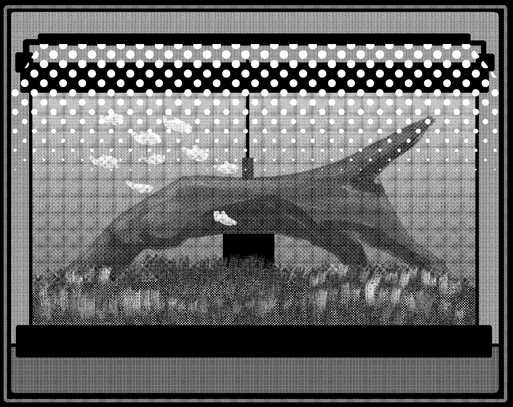 Aquariums Vol. 4 Log by grayabyss