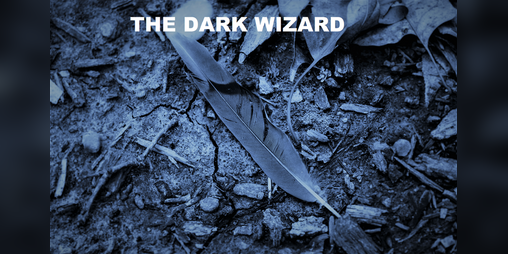 Cover image for The Dark Wizard