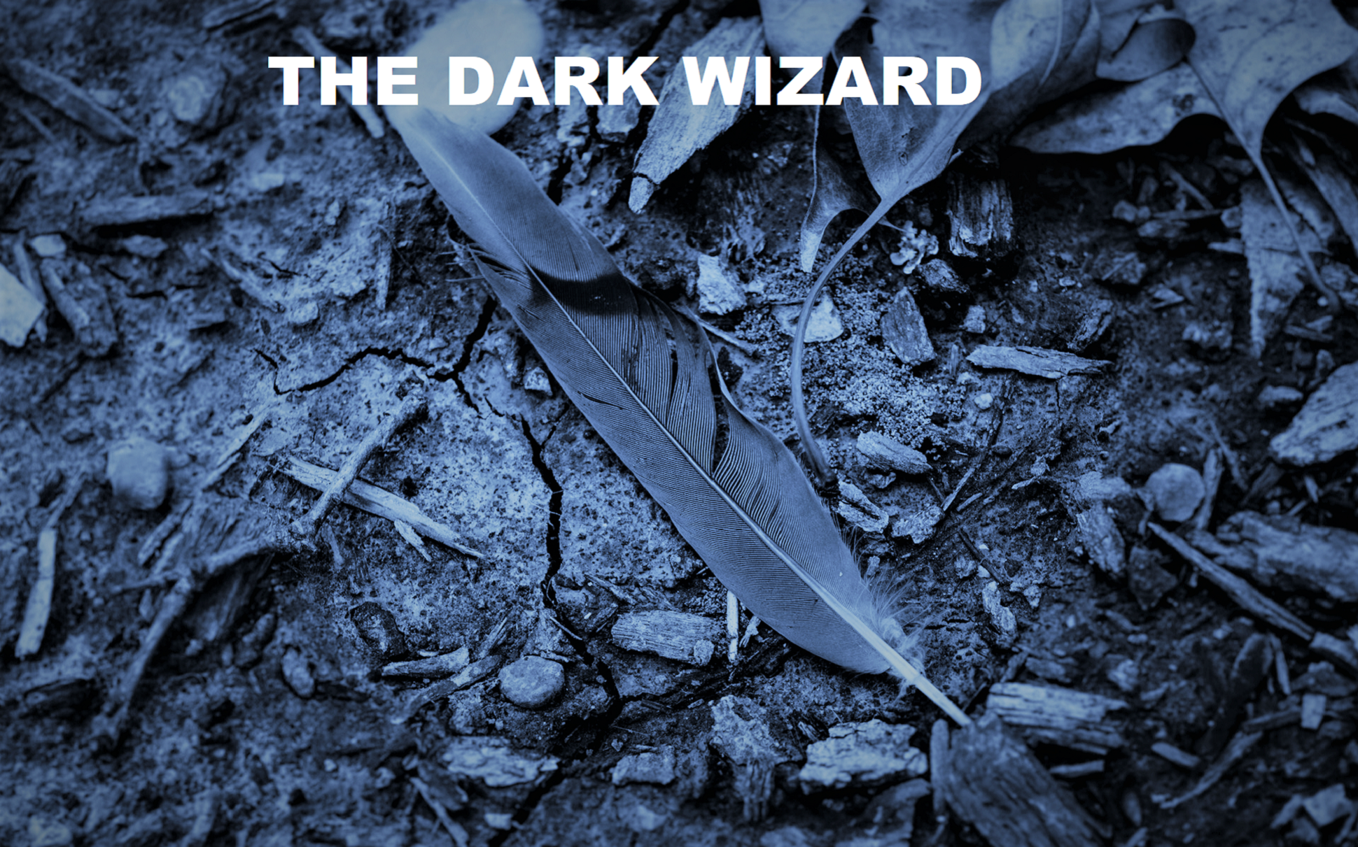 Cover image for The Dark Wizard