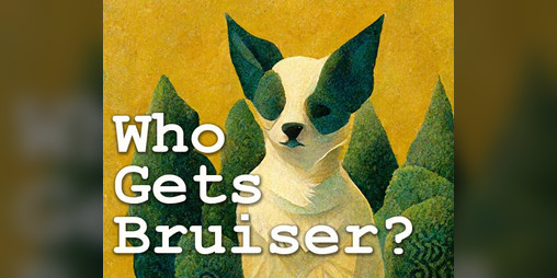 Cover image for Who Gets Bruiser?
