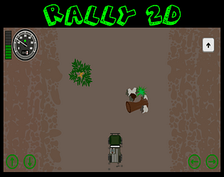 Rally 2D