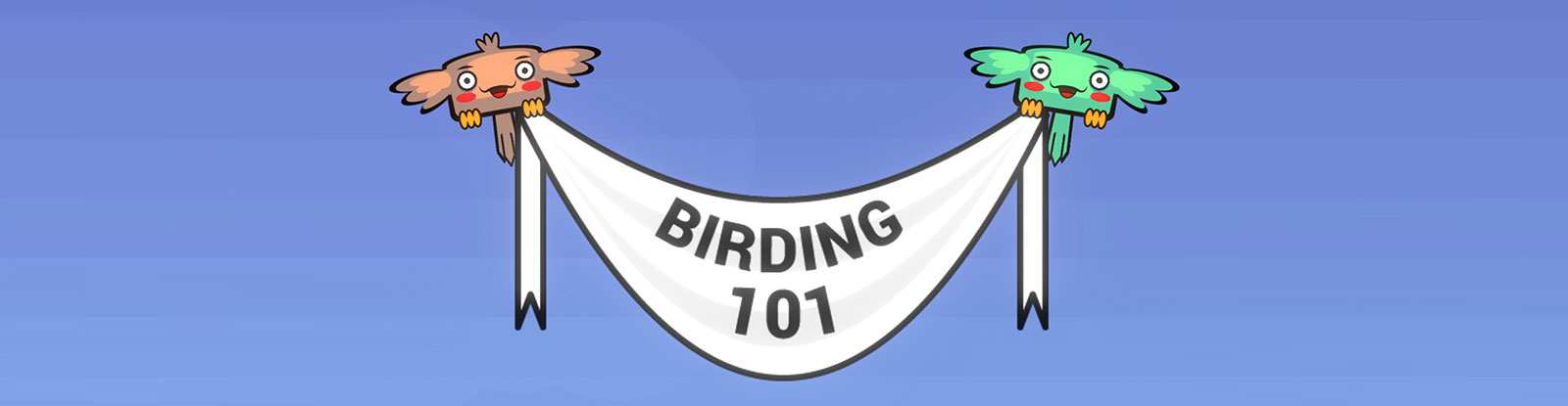 Birding 101