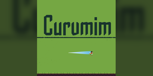 Cover image for Curumim