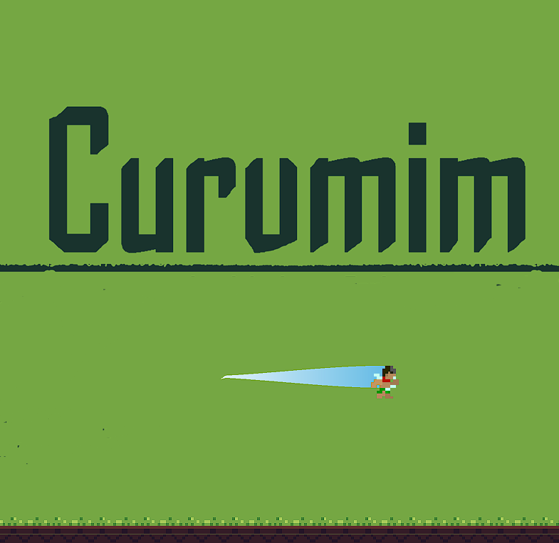 Cover image for Curumim