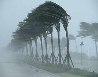 Natural Disaster Maker