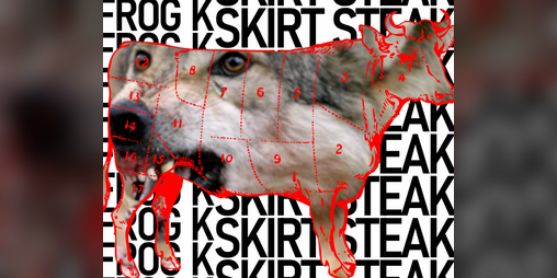 Cover image for SKIRT STEAK