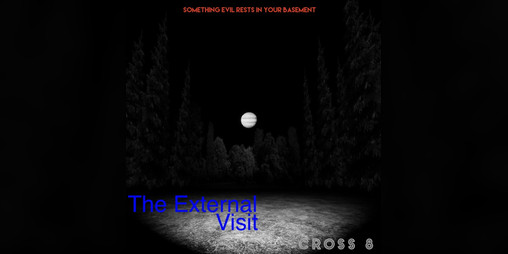 Cover image for The External Visit