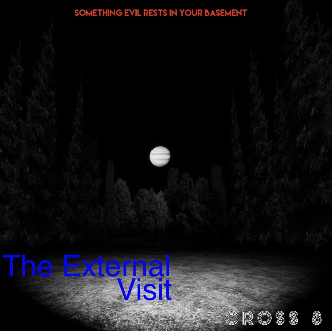 Cover image for The External Visit