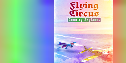 Cover image for Flying Circus Plane Replacement Pack Country Skylanes