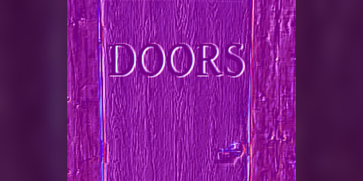 Cover image for Doors