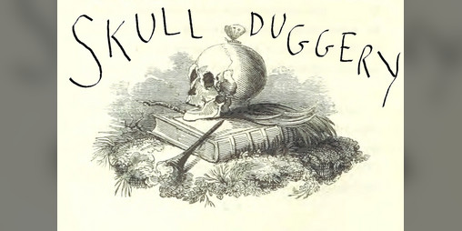 Cover image for Skullduggery