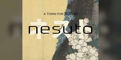 Cover image for NESUTO