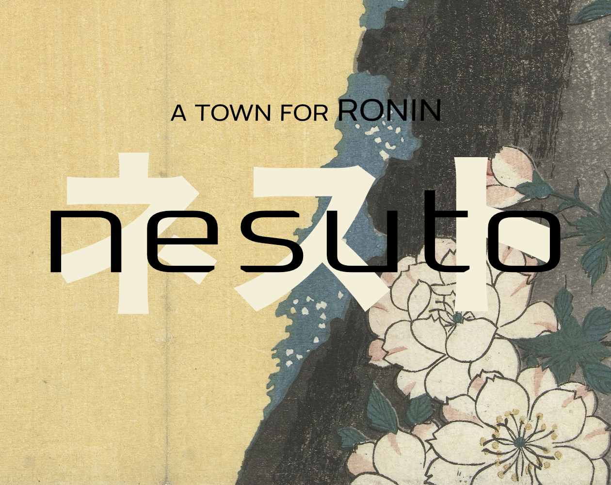 Cover image for NESUTO
