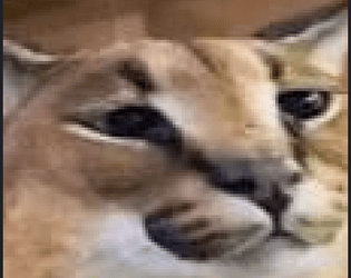 Raise a meme