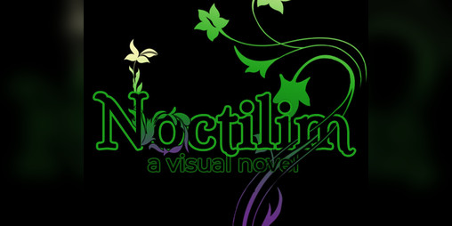 Cover image for Noctilim
