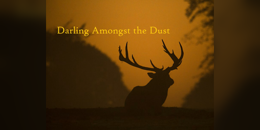 Cover image for Darling Amongst the Dust