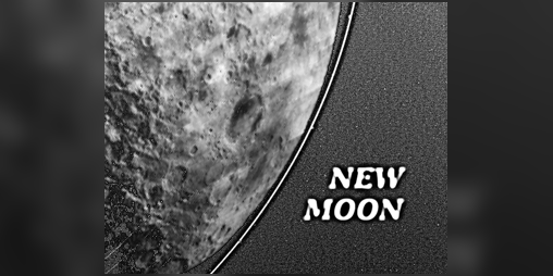 Cover image for New Moon