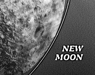Cover image for New Moon