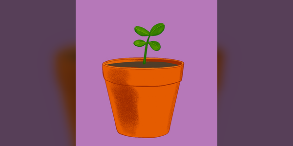 New Features: Cute Robot and a Plant Sprout! - Plant Therapy by Short Leg  Studio, WhereTheRedfernCodes, Randy Larson, Short Leg Studio, cindytrivera,  Jennevieve Schlemmer