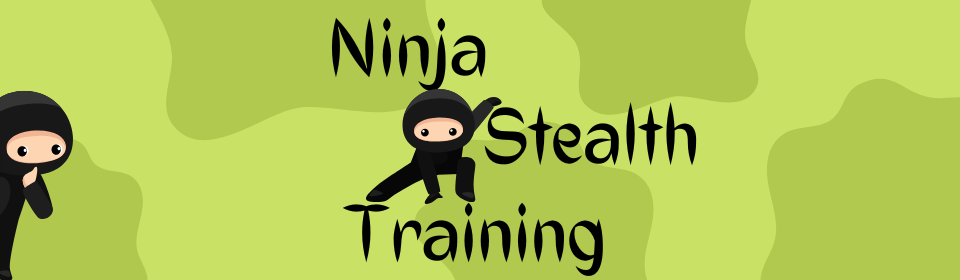 Ninja Stealth Training