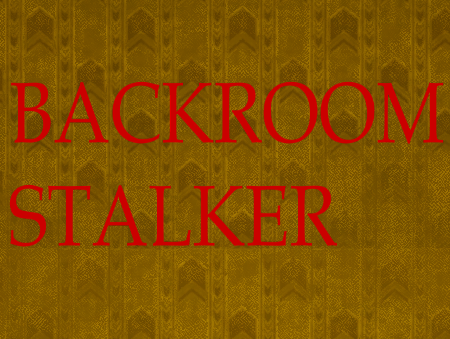 Backroom Stalker cover