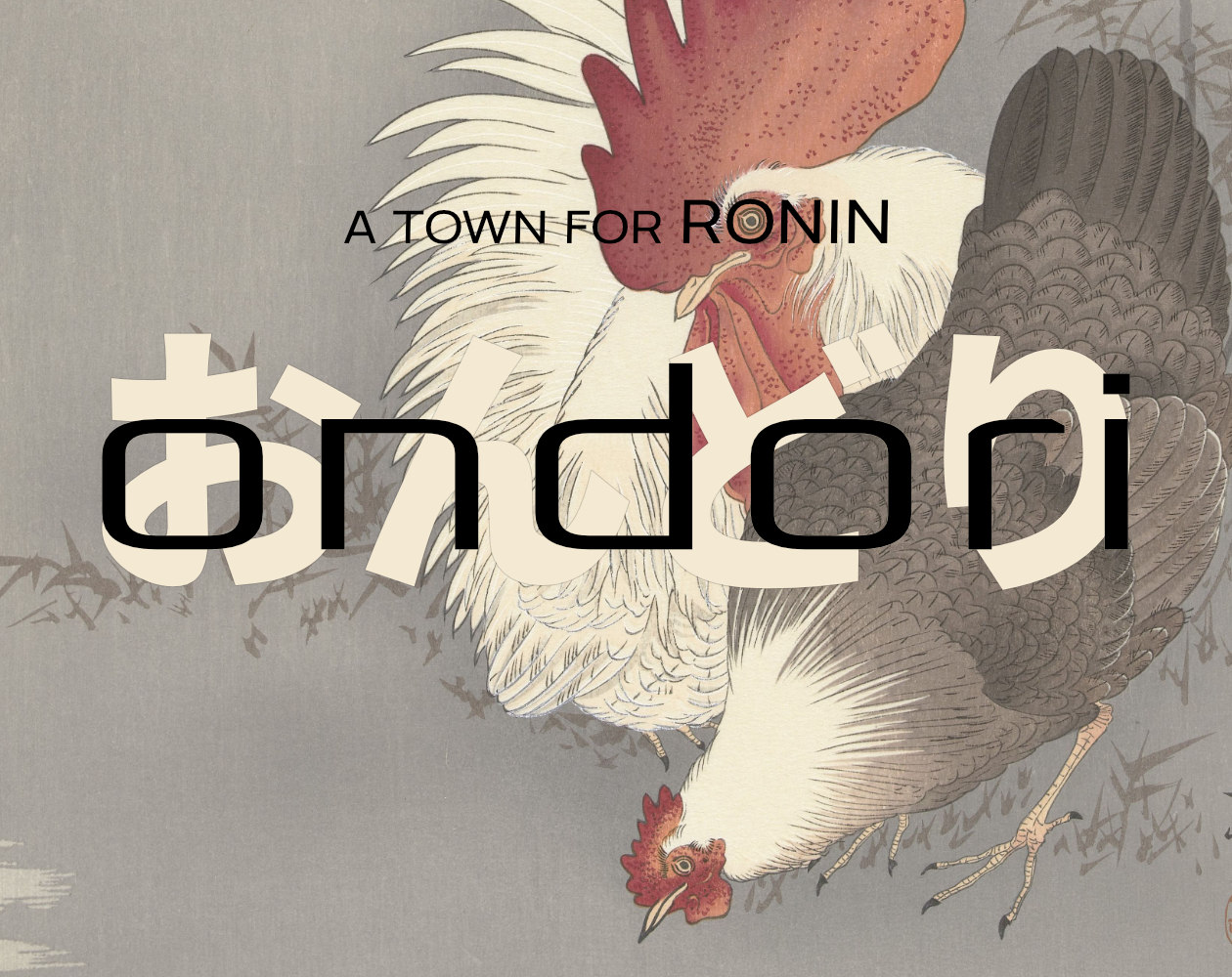 Cover image for ONDORI