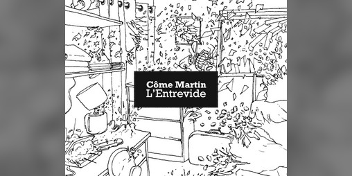 Cover image for L'Entrevide
