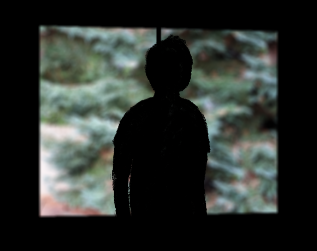 Cover image for The Curse