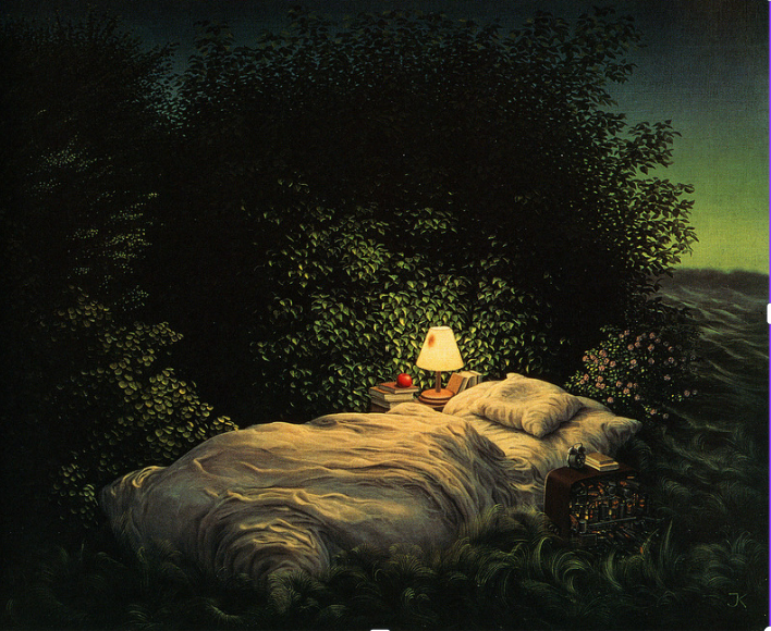 Cover image for The Lost Bedroom of the Woods