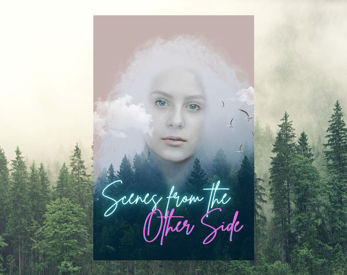 Cover image for Scenes from the Other Side